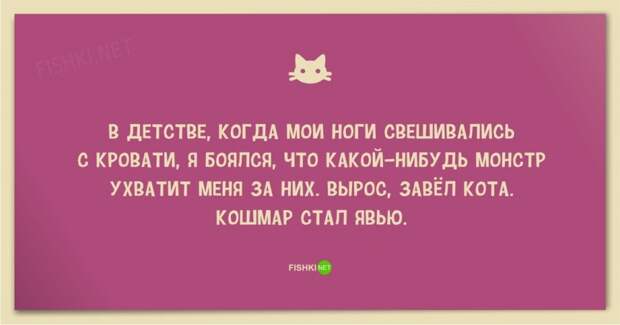 25 смешных анекдотов про кошек и котов 25 смешных анекдотов про кошек и котов