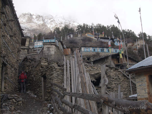 Upper Pesang, вокруг Аннапурны, Непал