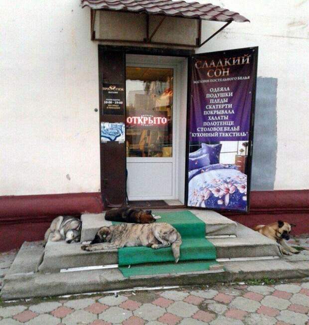Удивительные снимки с российских просторов