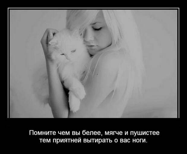 Демотиваторы на четверг (29 фото)