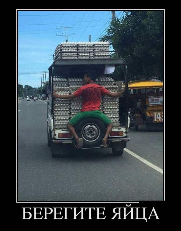 Подборка смешных и веселых демотиваторов для хорошего настроения (11 фото)