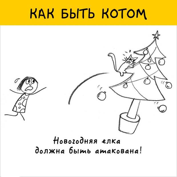 как правильно быть котом
