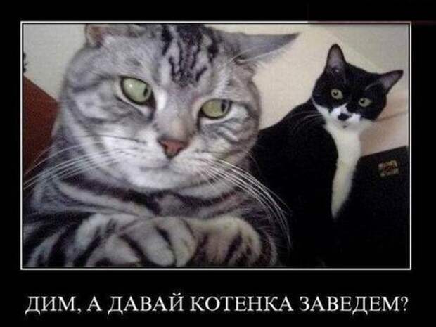 Демотиваторы (30 фото)