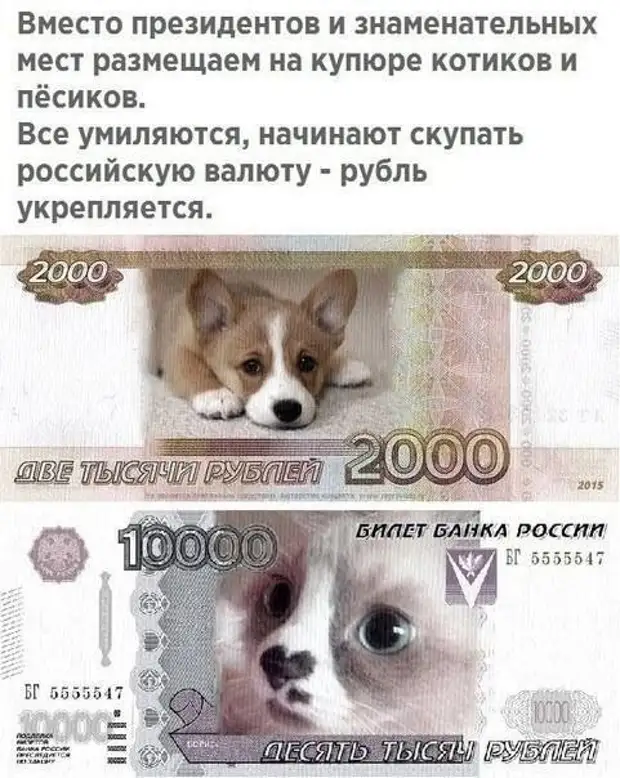 Сансара перерождение реинкарнация. Черепаха три слона плоская земля. Д. Представление древних китайцев о земле. Развитие представлений о строении вещества.