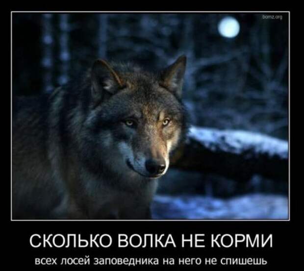 Демотиваторы которые заставляют задуматься