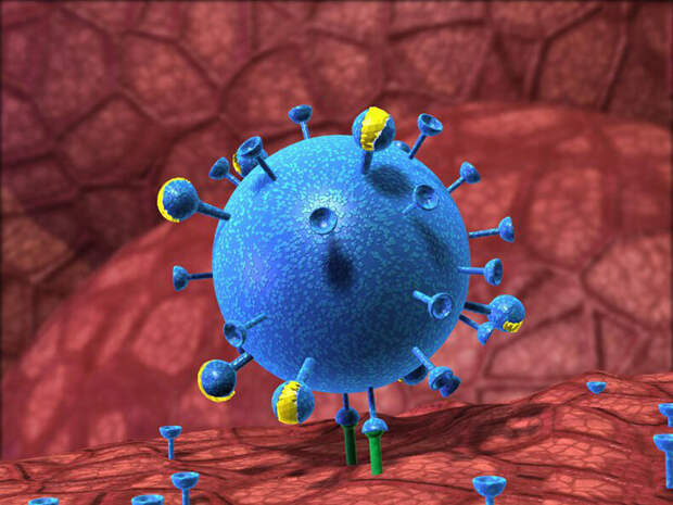Вирусное заболевание - недостаток смысла жизни