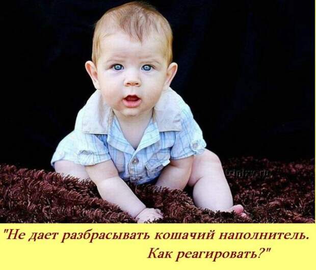 Если бы у детей был свой форум ...:)