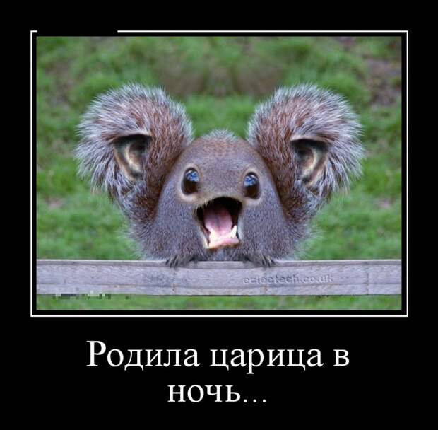 Демотиваторы (30 фото)
