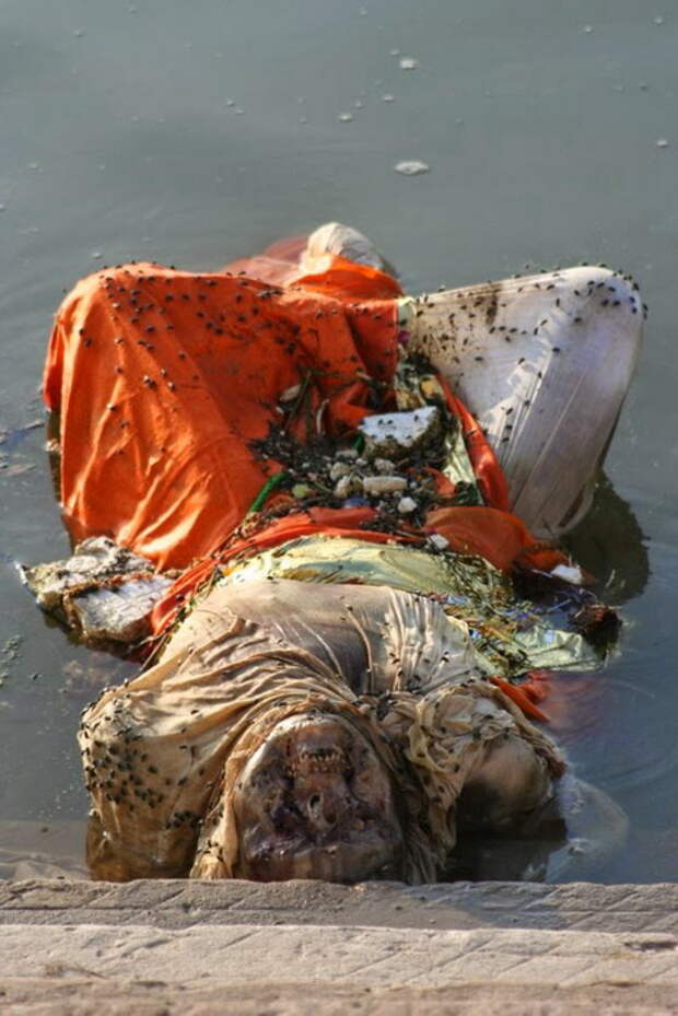 В Индии издавна принято хоронить умерших в реке Ганг.