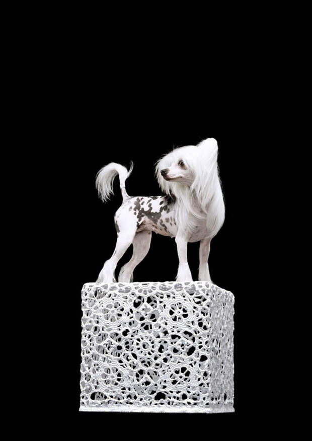 Чудачества Эрвина Олафа