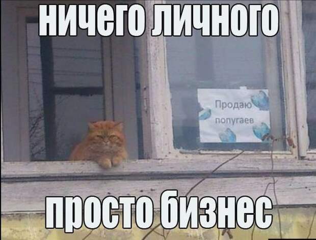 Фото приколы (78 фото)