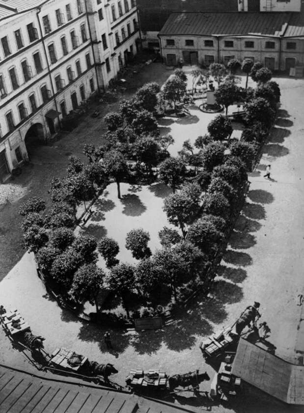 Повозки в одном из двориков, 1927 год. Повозки в одном из двориков, 1927 год.