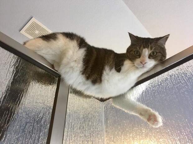 Ты скоро? Мне скучно Ты скоро? Мне скучно