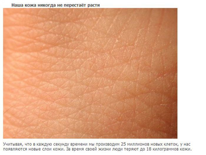 20 интересных фактов о нашем теле