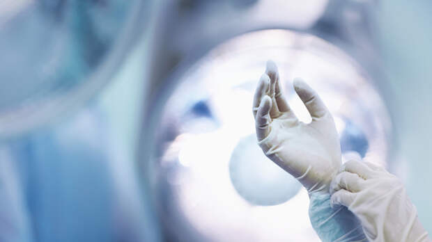 Вирусолог Аграновский: вероятность пандемии оспы обезьян в России очень мала