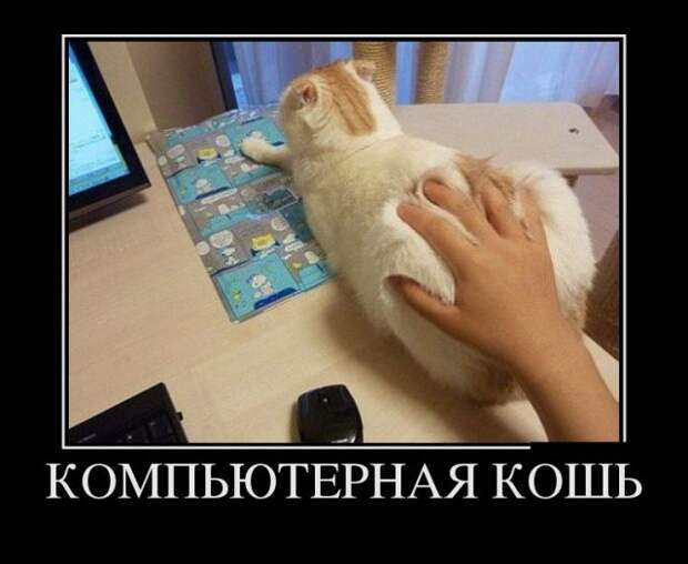 Демотиваторы (30 фото)