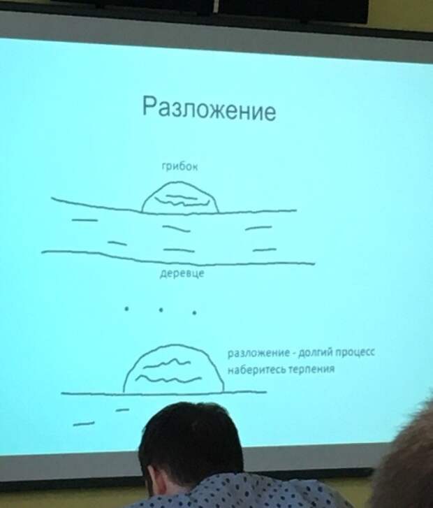 www.vsyako.net