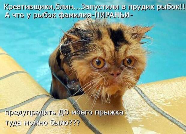 Мысли вслух :)