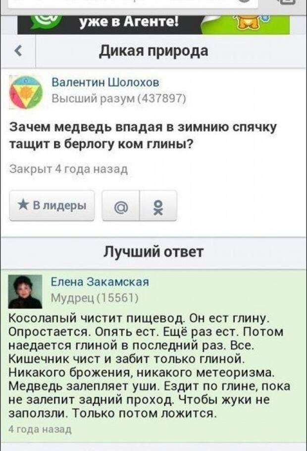 Прикольные картинки Прикольные картинки