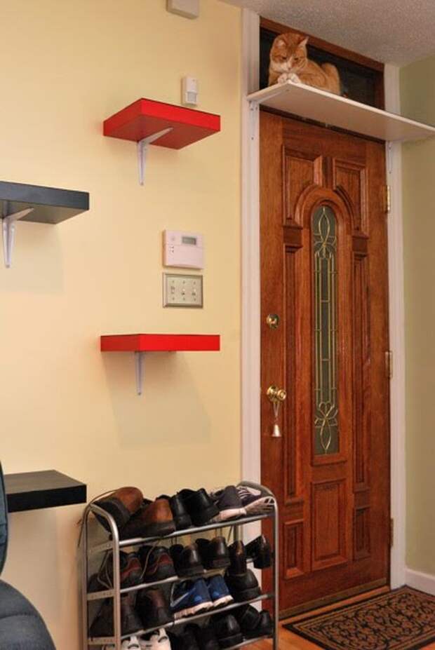 Полки для котов разной высоты