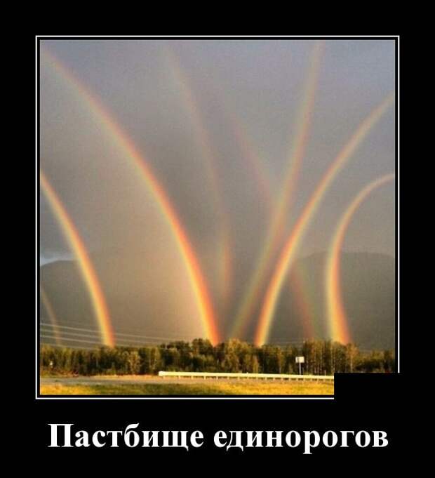 Демотиваторы (30 фото)
