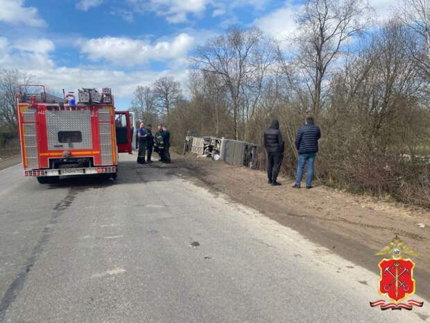 Авария в Ленинградской области: 50 человек улетели в кювет в пассажирском автобусе
