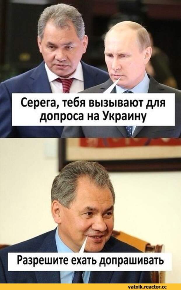 http://img1.reactor.cc/pics/post/%D0%AF-%D0%92%D0%B0%D1%82%D0%BD%D0%B8%D0%BA-%D1%80%D0%B0%D0%B7%D0%BD%D0%BE%D0%B5-%D0%A8%D0%BE%D0%B9%D0%B3%D1%83-%D0%9F%D1%83%D1%82%D0%B8%D0%BD-%D0%92%D0%BB%D0%B0%D0%B4%D0%B8%D0%BC%D0%B8%D1%80-%D0%92%D0%BB%D0%B0%D0%B4%D0%B8%D0%BC%D0%B8%D1%80%D0%BE%D0%B2%D0%B8%D1%87-1450779.jpeg