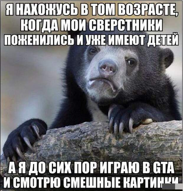 Прикольные картинки Прикольные картинки