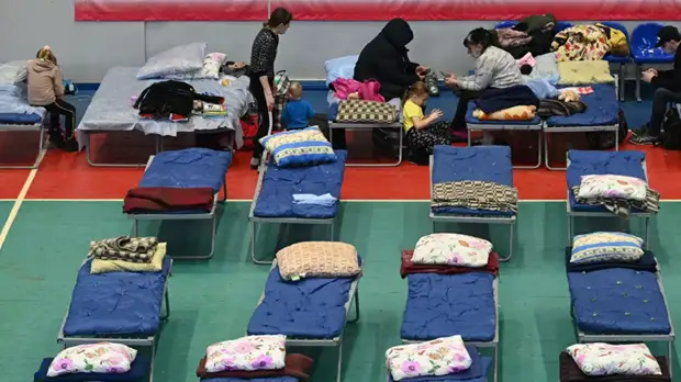 Минюст отправил в Ростовскую область мобильные бригады юридической помощи жителям ДНР и ЛНР