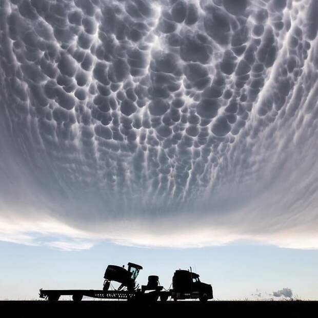 8. Апокалипсис? Фотошоп? Нет, просто такие облака над фермой в Канзасе в мире, животные, мир, природа, удивительно, фото