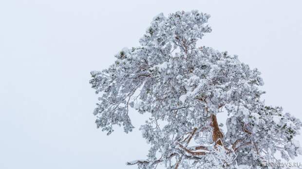 Синоптики не ждут от марта сюрпризов на Южном Урале
