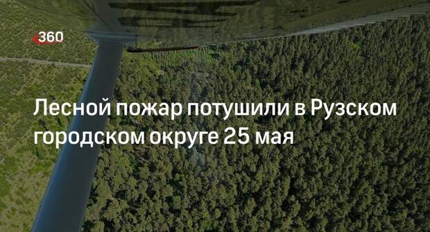 Лесной пожар потушили в Рузском городском округе 25 мая