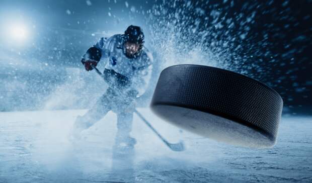 hockey player hits puck - enforcers die 10 years study