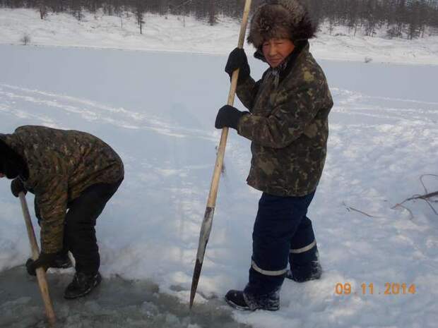 Мунха - традиционная зимняя рыбалка якутов Карась, видео, интересное, охота, рыбалка, фотографии, якутия, якутск