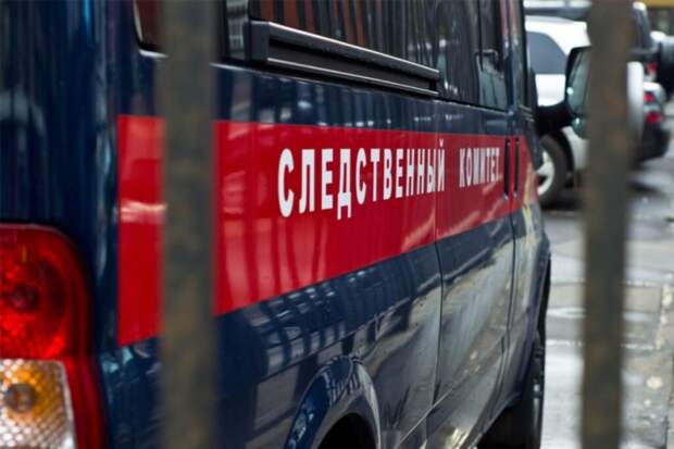 Пьяный житель Подмосковья убил школьника, показывая боевые приёмы