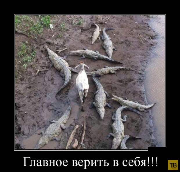 Демотиваторы (30 фото) Демотиваторы (30 фото)