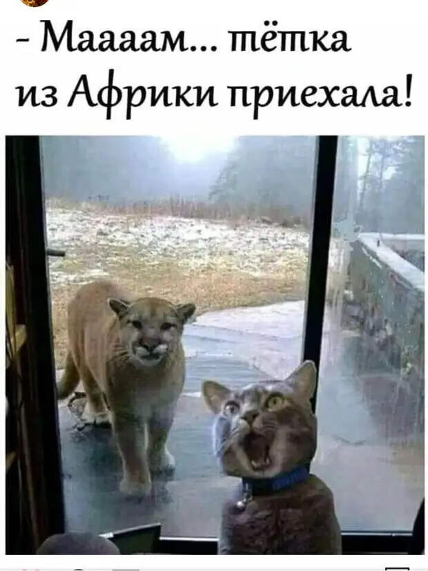 В кабинете пластического хирурга:  - Доктор, вы можете помочь?...