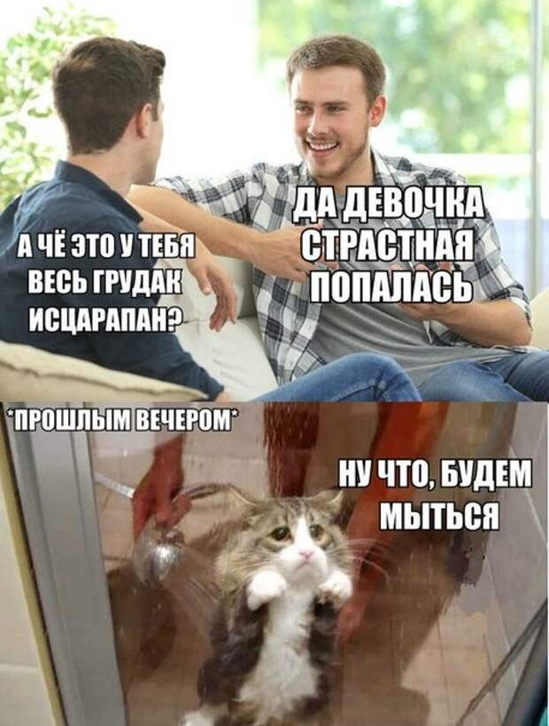 Свежие фотомемы для настроения (24 шт)