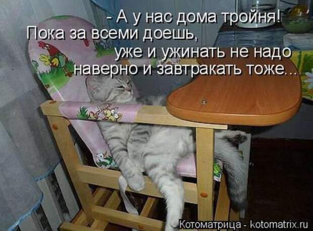 Котоматрицы(картинки с надписями)