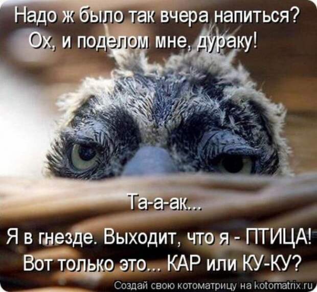 1359322027_96696281_large_100 (570x525, 83Kb)