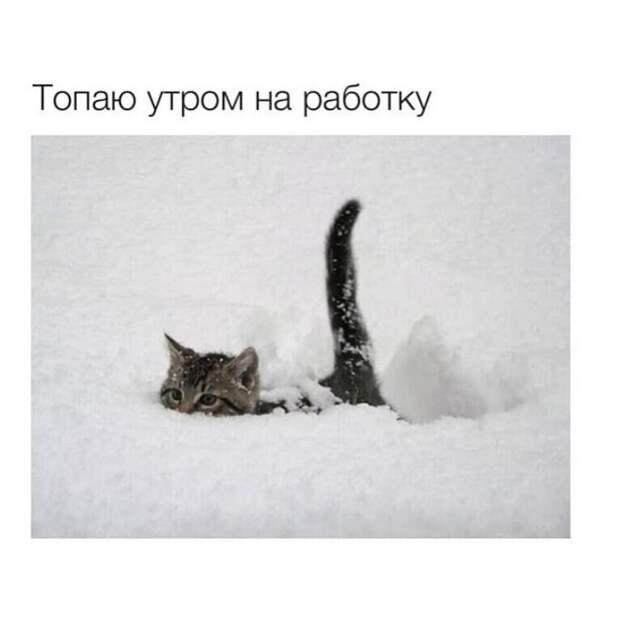 А как вам работается по жизни? А как вам работается по жизни?