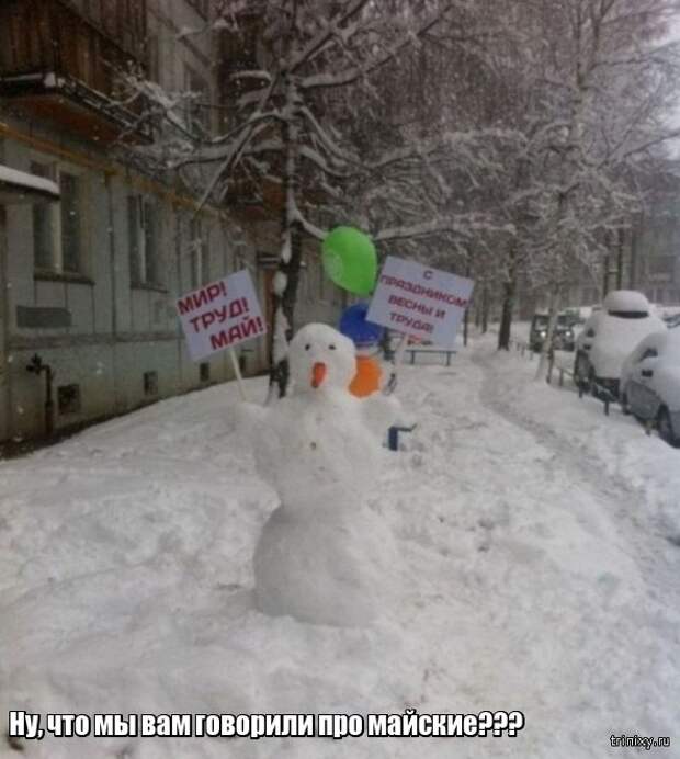 Весна уже пришла? Или пока еще нет? (23 фото)