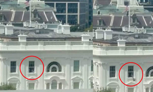 4 Белый дом черные мешки