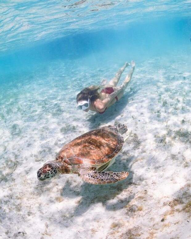 SBЗахватывающие снимки сделанные под водой