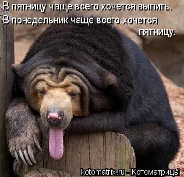 В пятницу чаще всего хочется выпить.  В понедельник чаще всего хочется