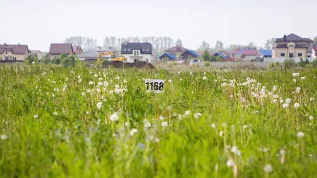 Более 2 тыс многодетных семей Подмосковья планируют обеспечить участками в 2022 г