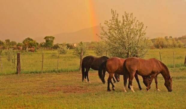 Скоро эти знаки Зодиака обретут истинное счастье