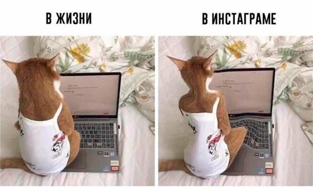 Жизнь VS Инста ) Жизнь VS Инста )
