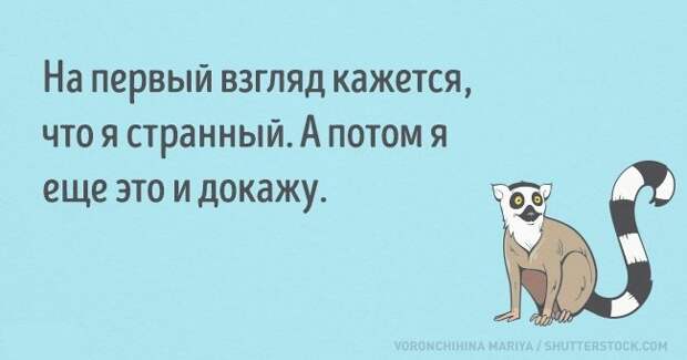 Смешные открытки (15 картинок) Смешные открытки (15 картинок)