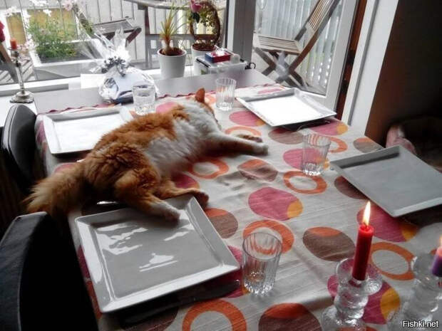 639f551f364dec99e2f88a9e977fe03f (700x525, 327Kb)